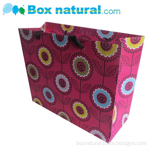Printed Kraft Gift Bag/ Carrier Bag/ Gift Packing Paper Bag